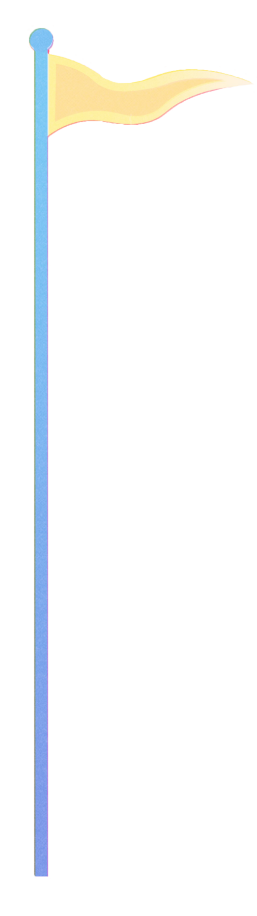 extraspotflag